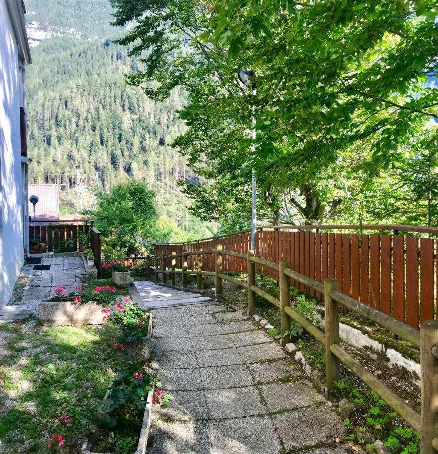 Appartamento Le Pale Alleghe Bagian luar foto
